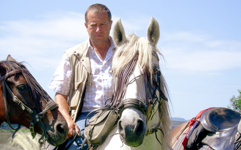 Peter Lackner auf Missouri Foxtrotter Peter Lackner auf weißem Missouri Foxtrotter mit braunem Missouri Foxtrotter am Zügel